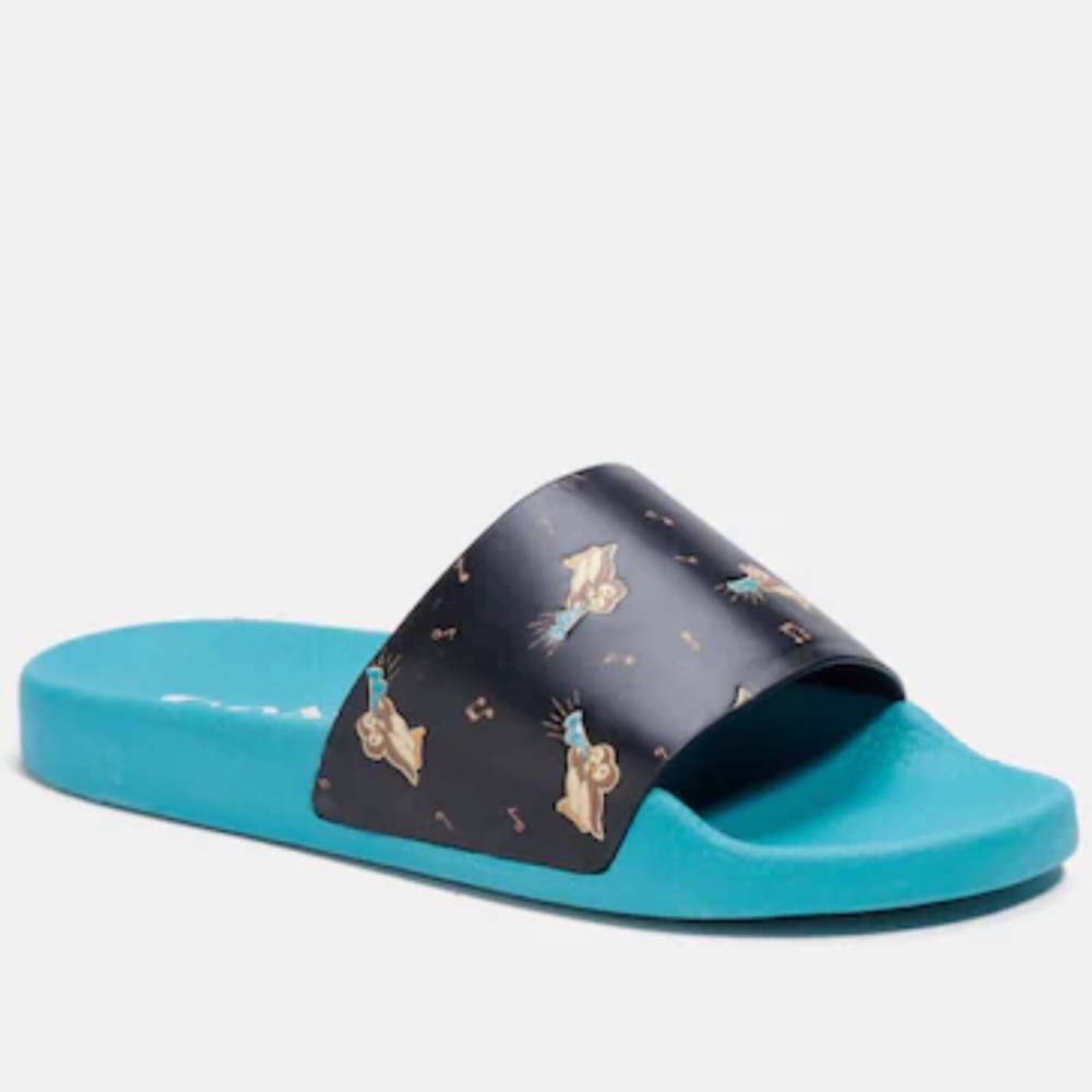 Coach Udele Sport Slide